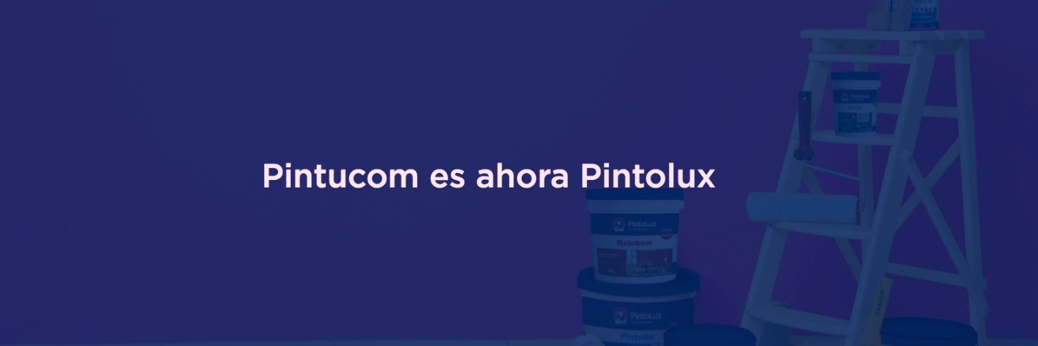 PintucomSAdeCV's profile banner image