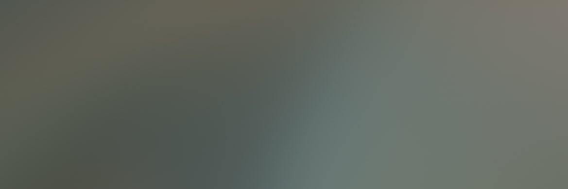 auslo banner