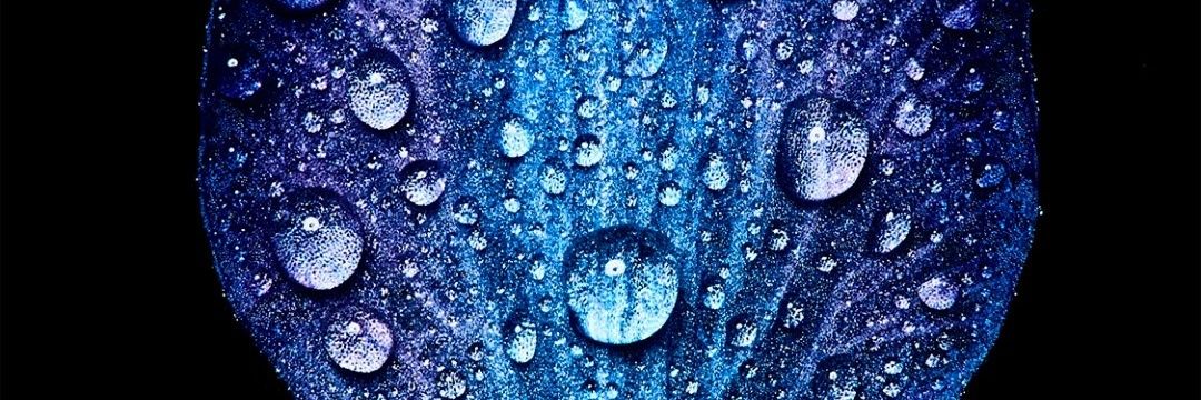 bramaa1's profile banner image
