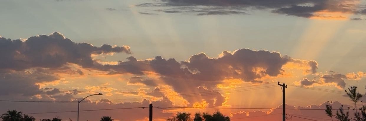 brittanyreeser's profile banner image