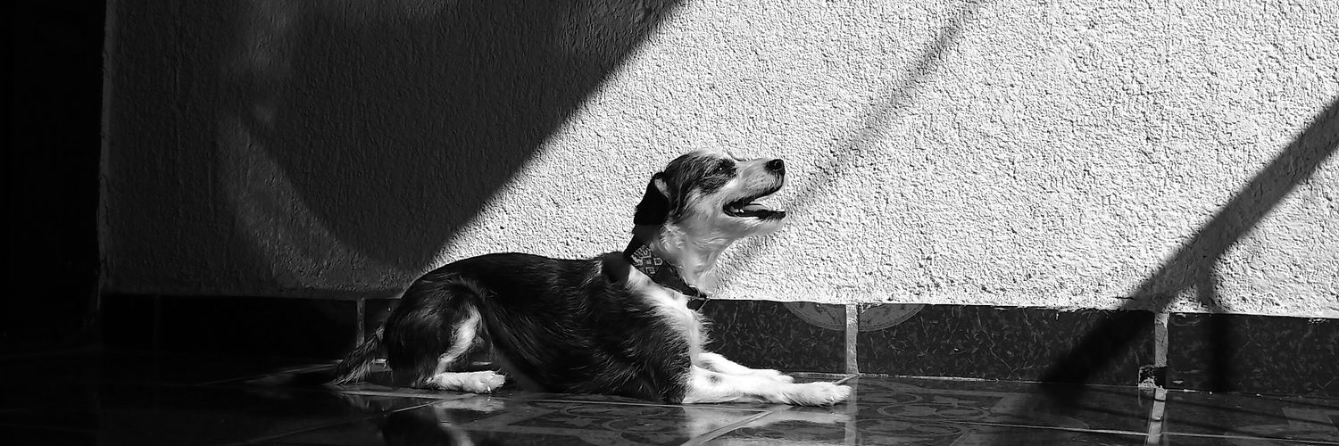 itzel_tela's profile banner image