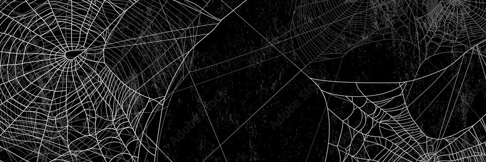 nlegeree's profile banner image