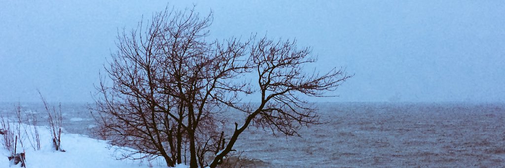 seasidecarny's profile banner image
