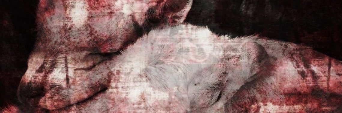 Ი ̫𐑼 banner