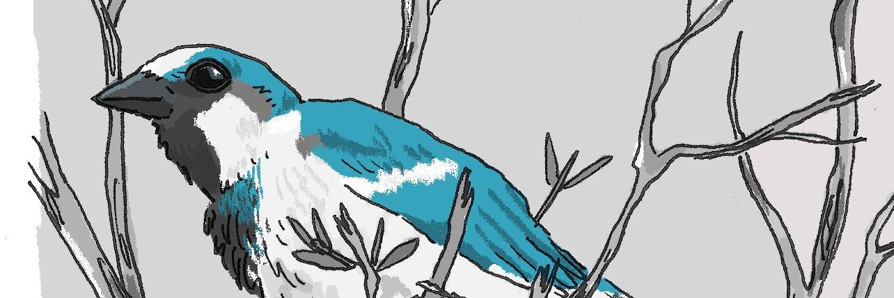 hadweb's profile banner image