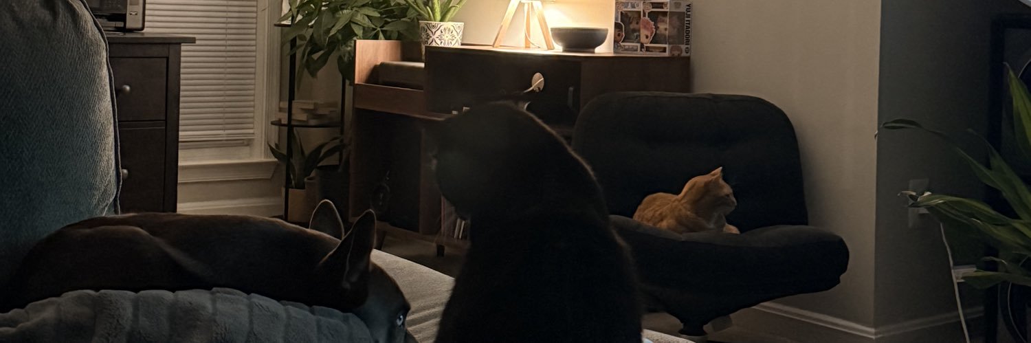 ViewEder's profile banner image