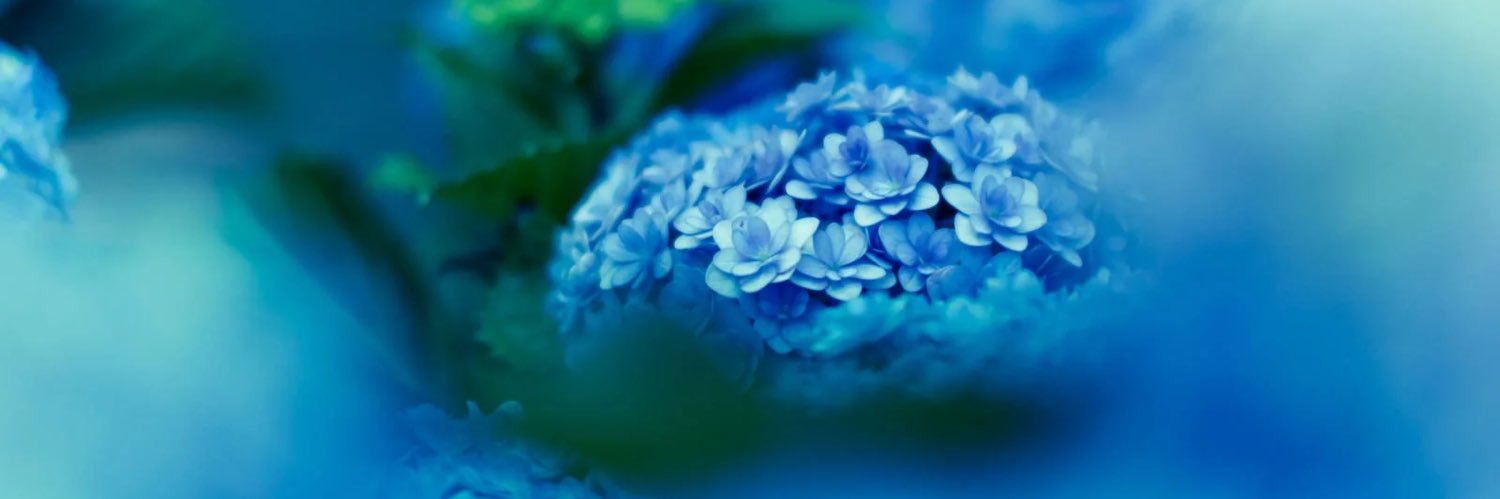 ちょる banner