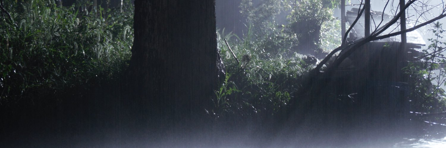 ronin37998's profile banner image
