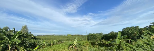 akhliswrites Profile Banner