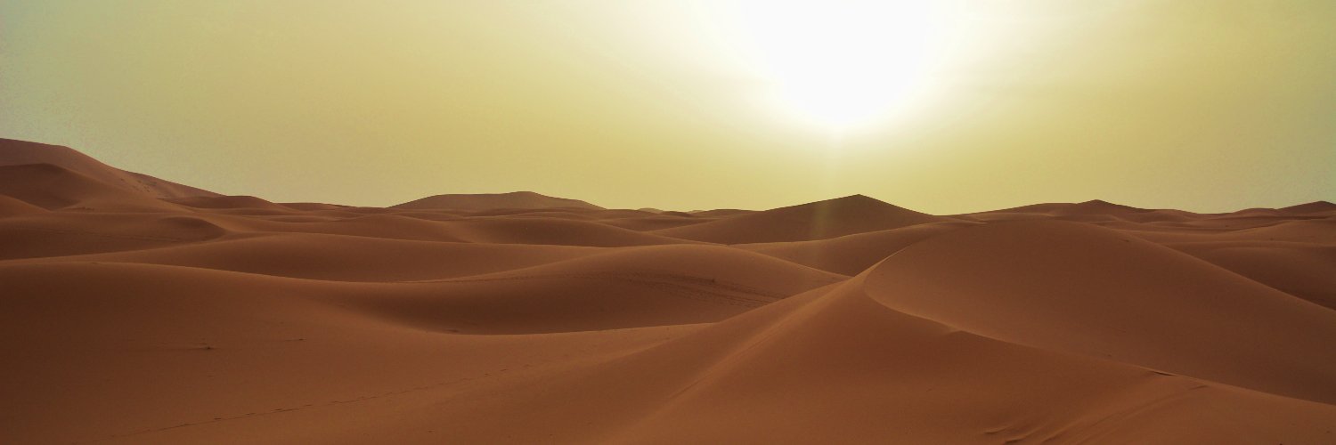 Paul Muaddib banner