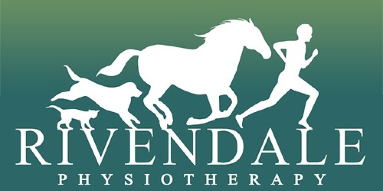 rivendalephysio's profile banner image