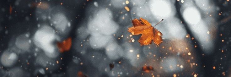 Lavigners3's profile banner image