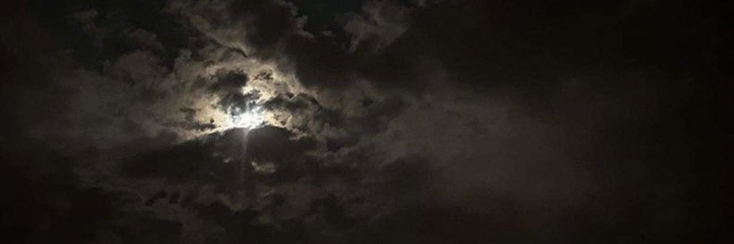 t7_7r's profile banner image