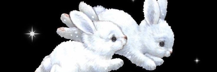 virginiamcost's profile banner image