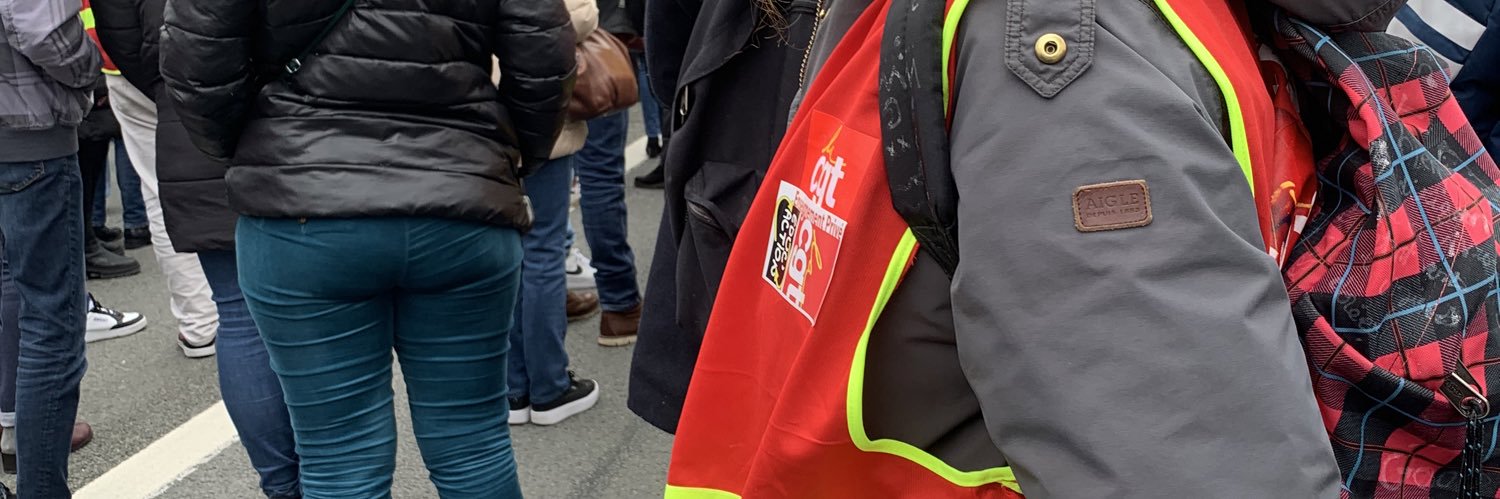 Quibus 🇫🇷🐢 banner