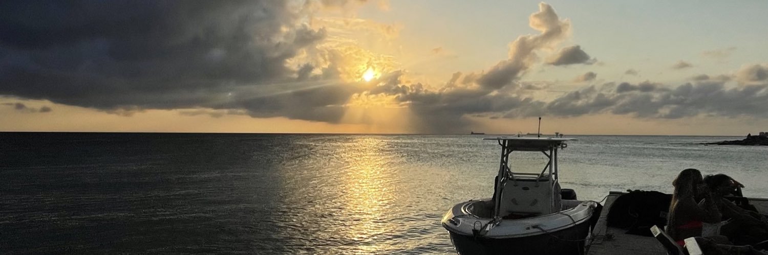edvilvez's profile banner image