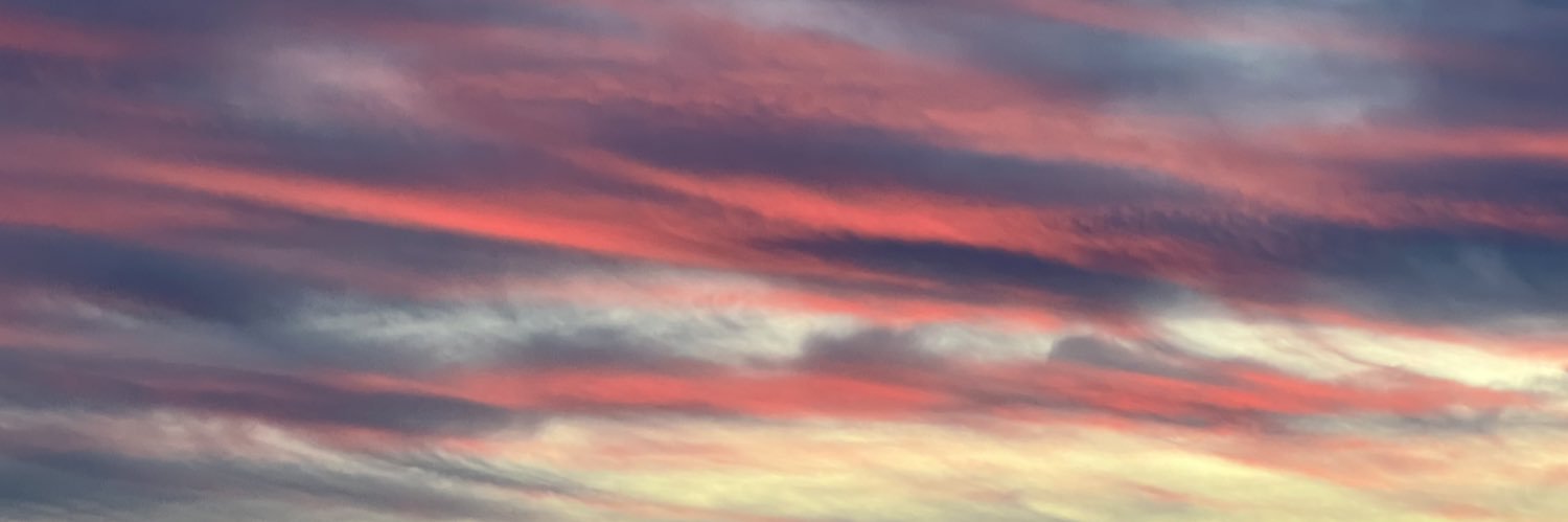 Thomas Donnelly banner