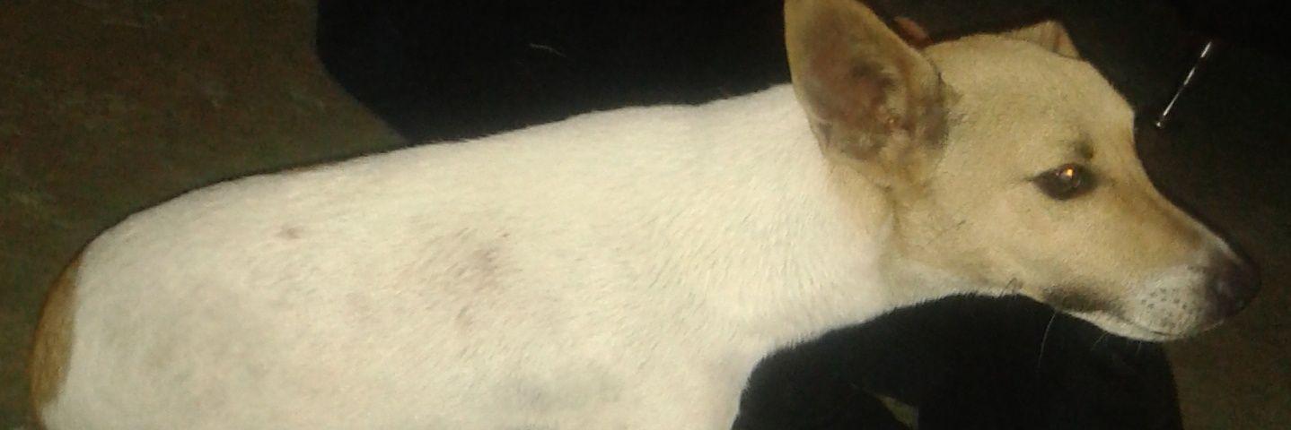 flormariam's profile banner image