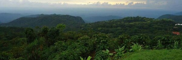 ADACEL Profile Banner