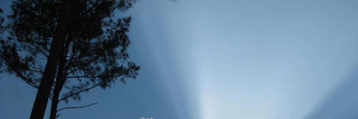 Samantha Gluck banner