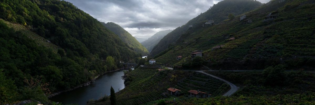 BorjaRialP's profile banner image