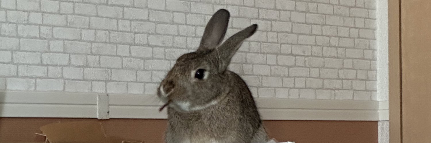 mariberi1333's profile banner image