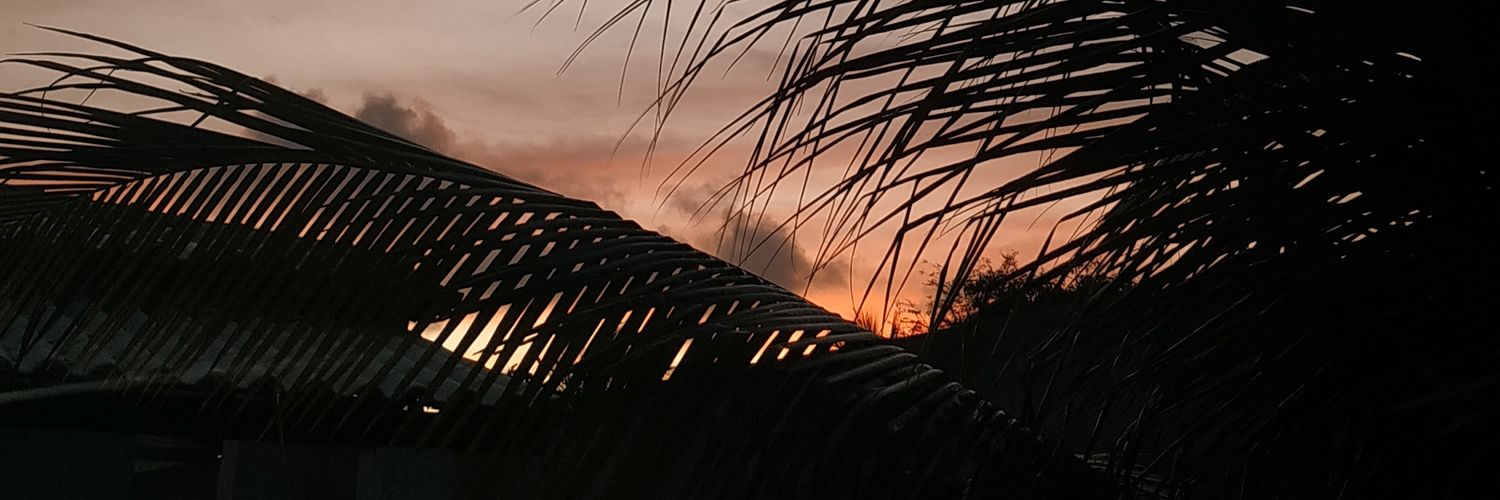 Tatiane Espirito banner