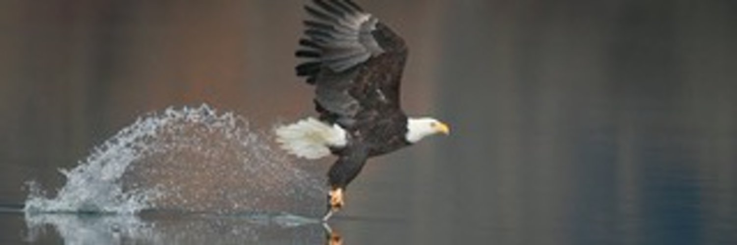 Patriot3479 Profile Banner