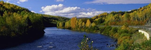 Peter Mangini banner