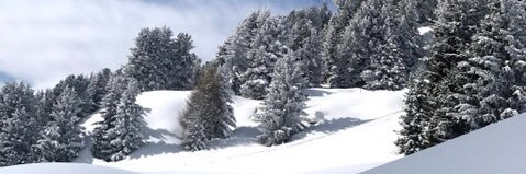 basler_bebbi's profile banner image