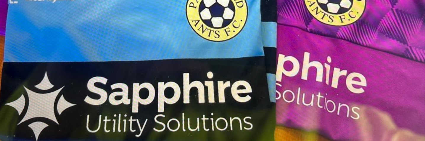 Parkfield Ants FC banner