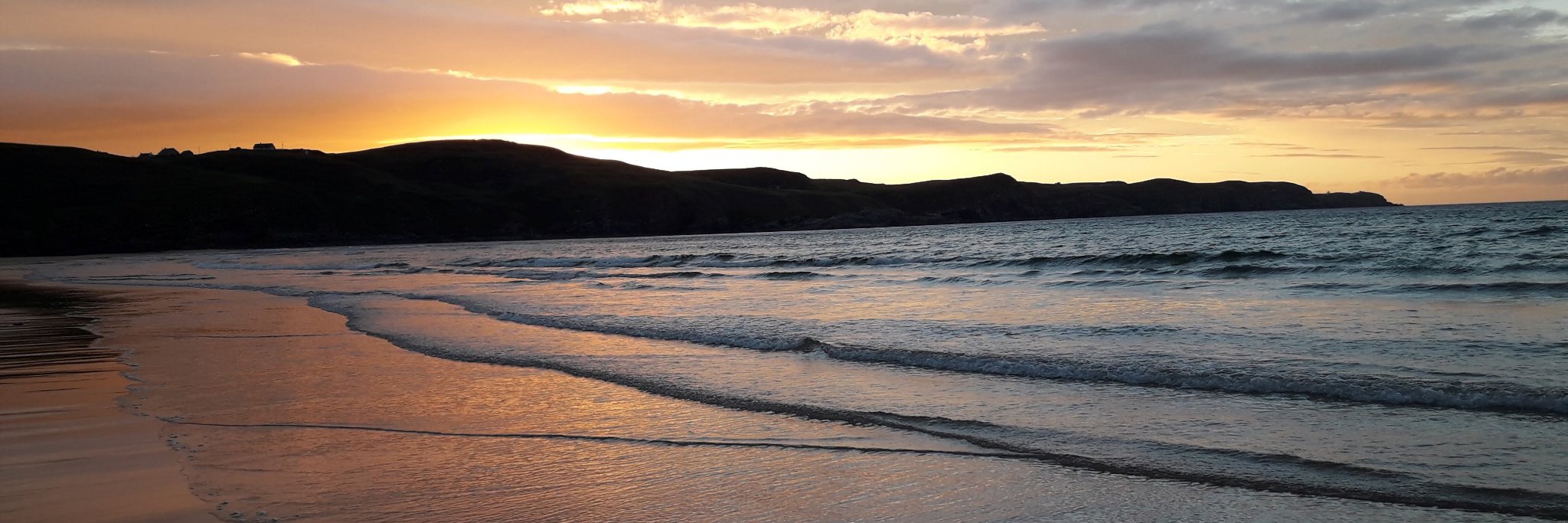 Dr Szabolcs Pap banner