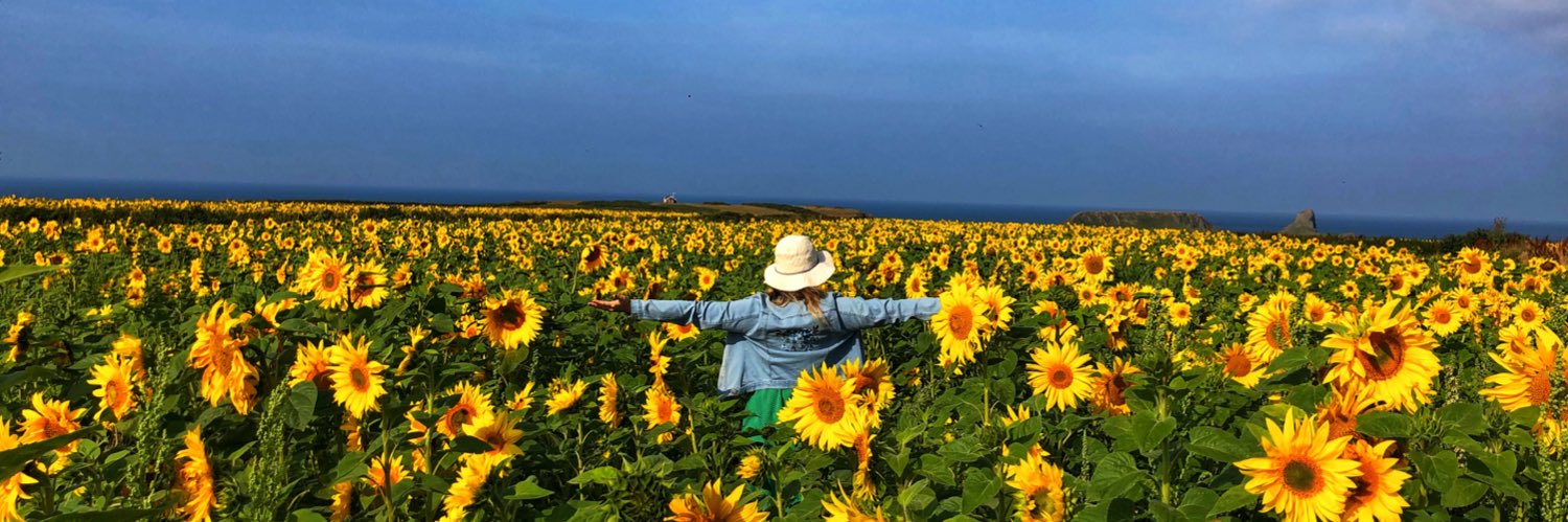 ℝ𝕙𝕚𝕒𝕟𝕪𝕕𝕕𝕁𝕖𝕟𝕜𝕚𝕟𝕤 banner