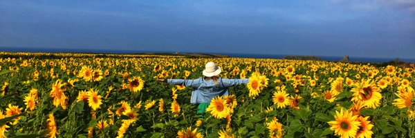 MrsRJenko Profile Banner