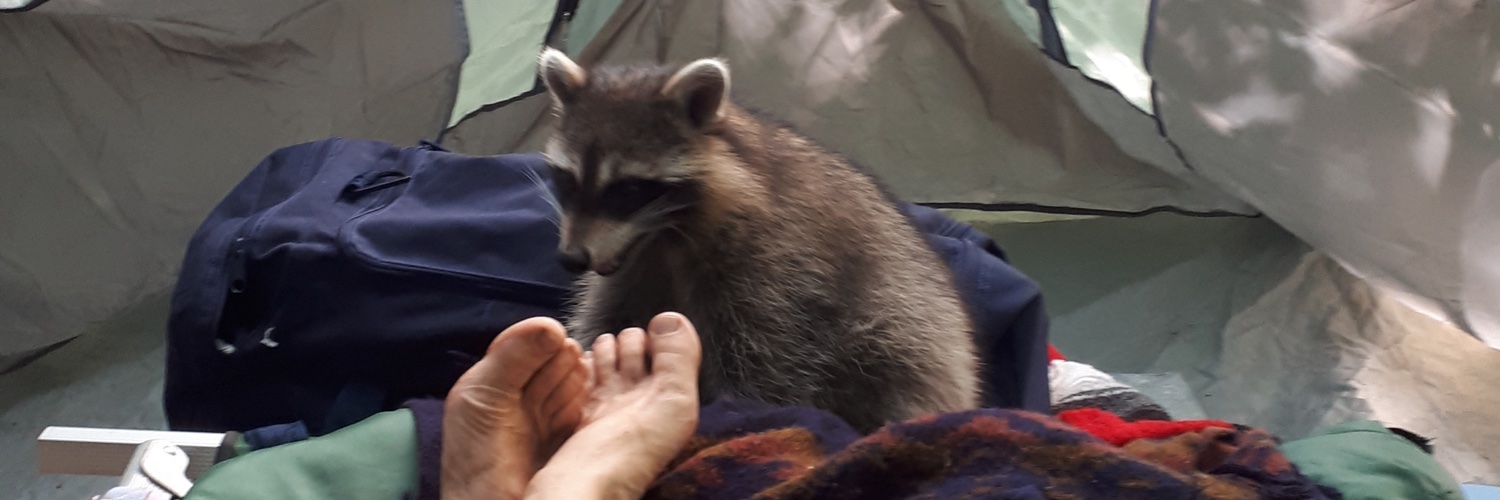 CindypCin's profile banner image