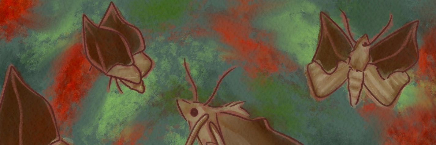 calyptra_moth's profile banner image