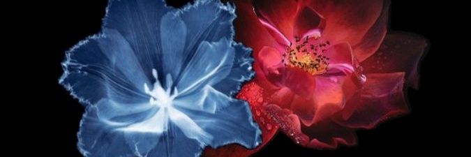 igorlpsrch's profile banner image