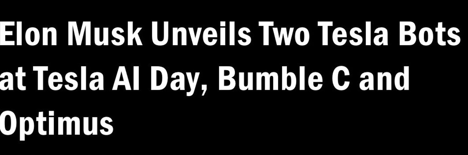 BUMBLE-C Profile Banner