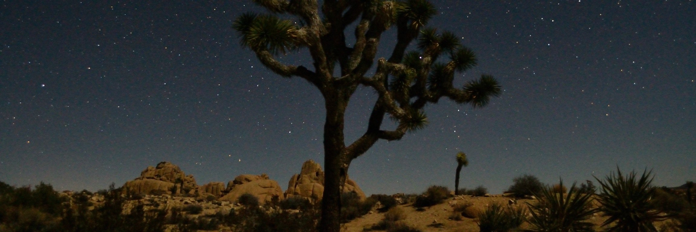 mcphersonchris's profile banner image