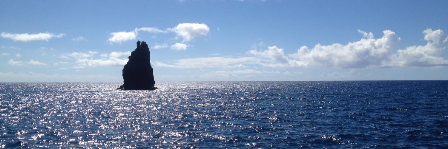 Pedro Teixeira banner