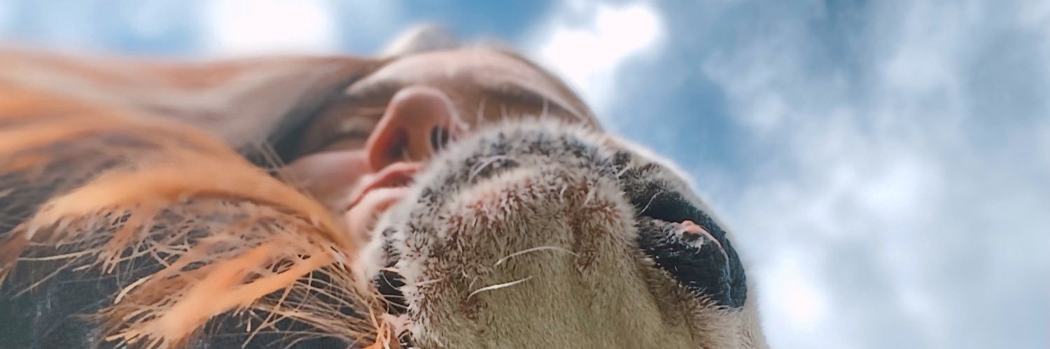 LivoniCarla's profile banner image