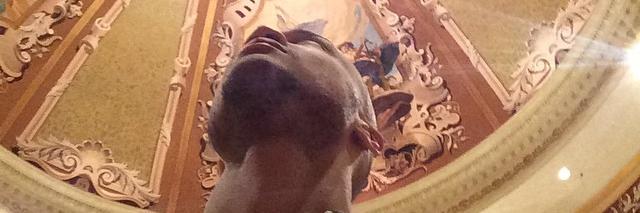 👑 🐰 #YAWSMickeyMike banner