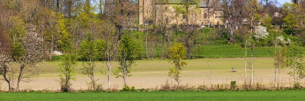 marvi Profile Banner