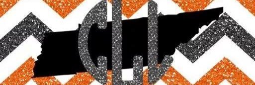 CrystalLL0617's profile banner image