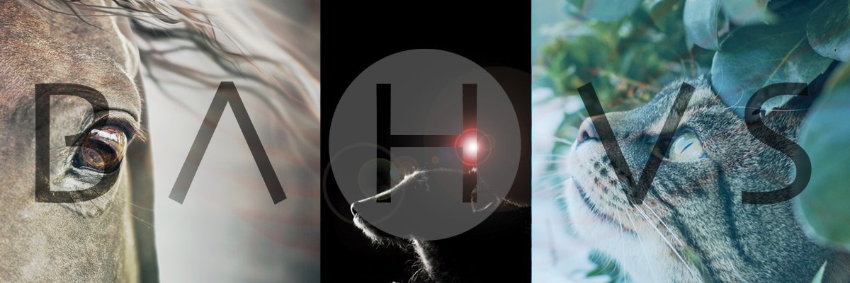 BAHVS banner