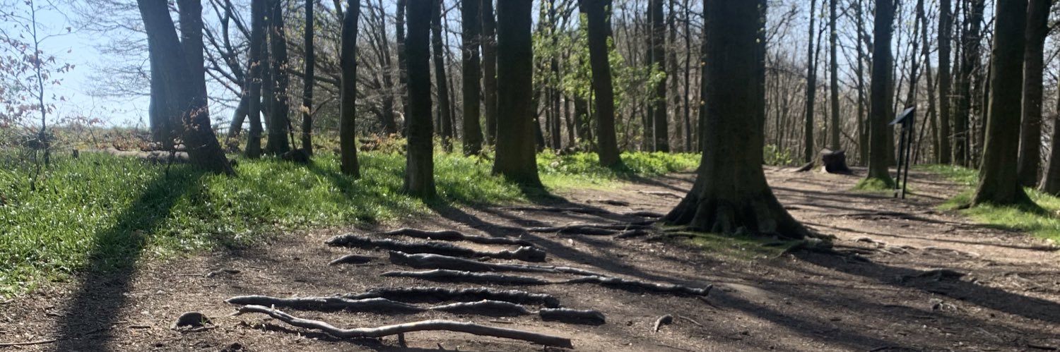 Bryn Llewellyn banner