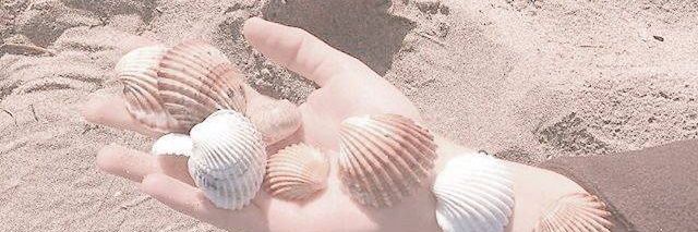 summer_0mm's profile banner image