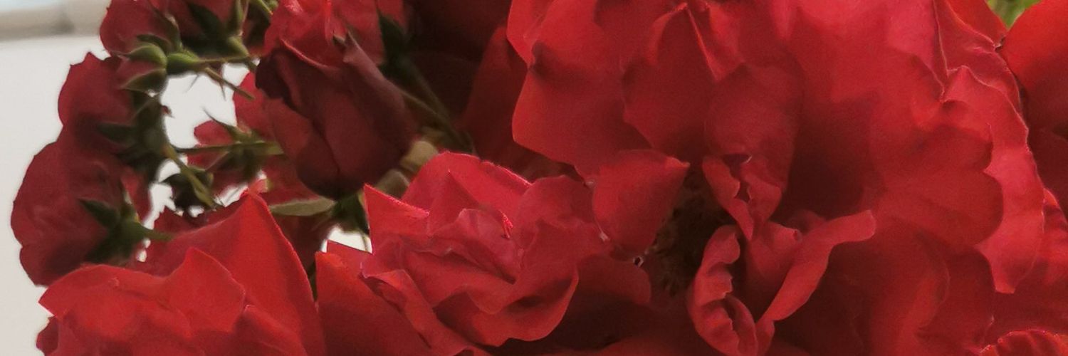 celoetopento's profile banner image