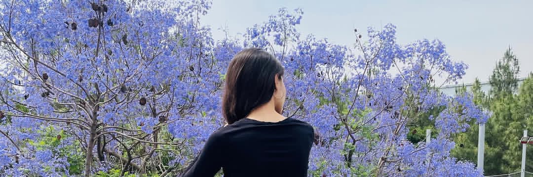 GirlFromGilgit3's profile banner image