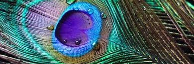 serupatel89's profile banner image